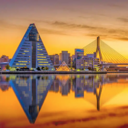 Spring Trip to Aomori - 3 Days 2 Nights