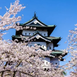 Spring Trip to Aomori - 3...