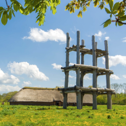 Spring Trip to Aomori - 3 Days 2 Nights