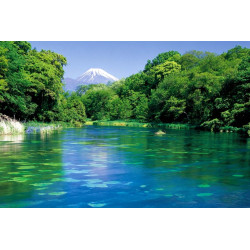 深入探索静冈山梨