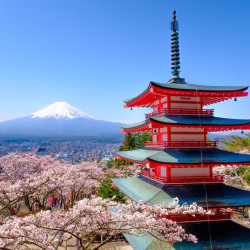 深入探索静冈山梨