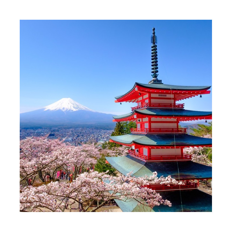 深入探索静冈山梨