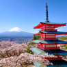 深入探索静冈山梨
